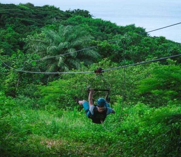 Zipline Adventure