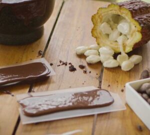 Chocolate Tour