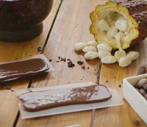 Chocolate Tour